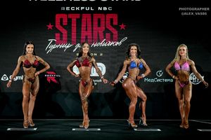 WELLNESS  STARS